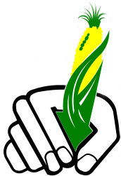 hand holding corn